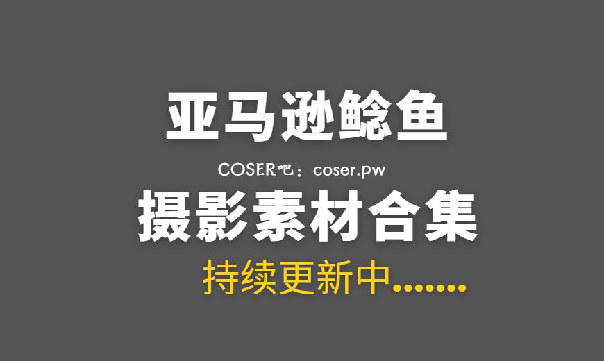 动漫博主 亚马逊鲶鱼 NO.012 – 同人武士 [30P-1V 314.69 MB]-Coser吧