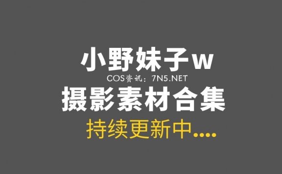 网络红人@小野妹子w  47套COS作品打包分享[1488P/6.89G]